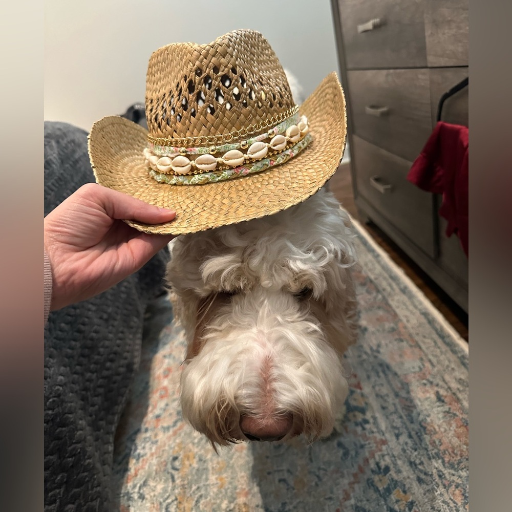 Meet your Posher, Suzanne